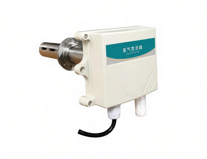 管道式氧氣變送器485型O2-N01-2-30VOL-VL